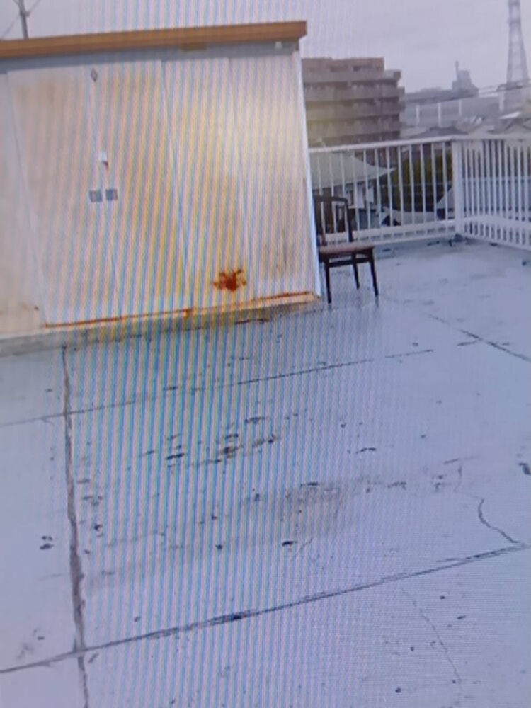 ブログ画像